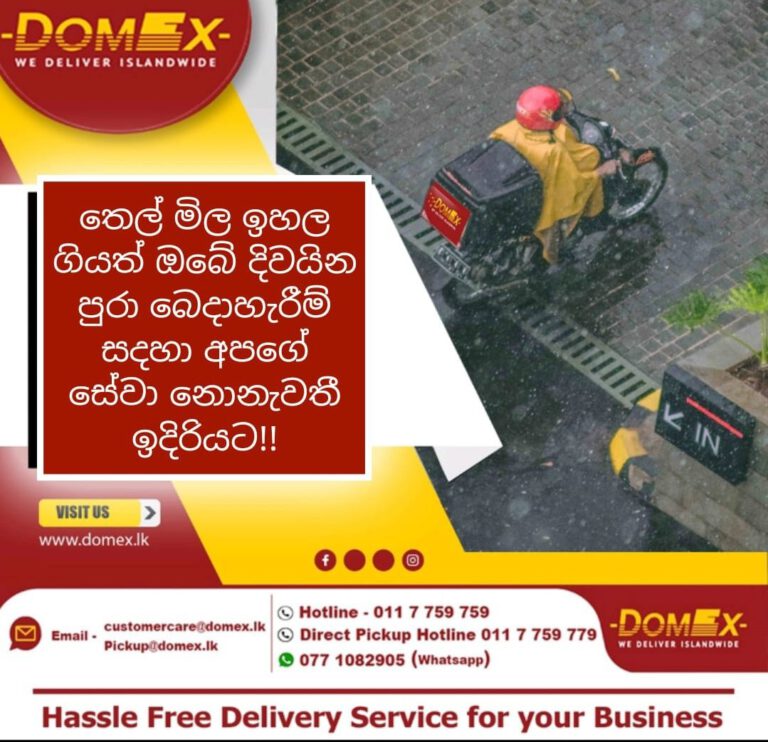 Domex Updates  Hassle Free Delivery Service For Your Business