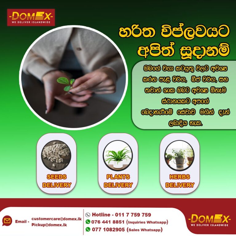 Domex Updates  Seeds, Plants, Herbs Delivery